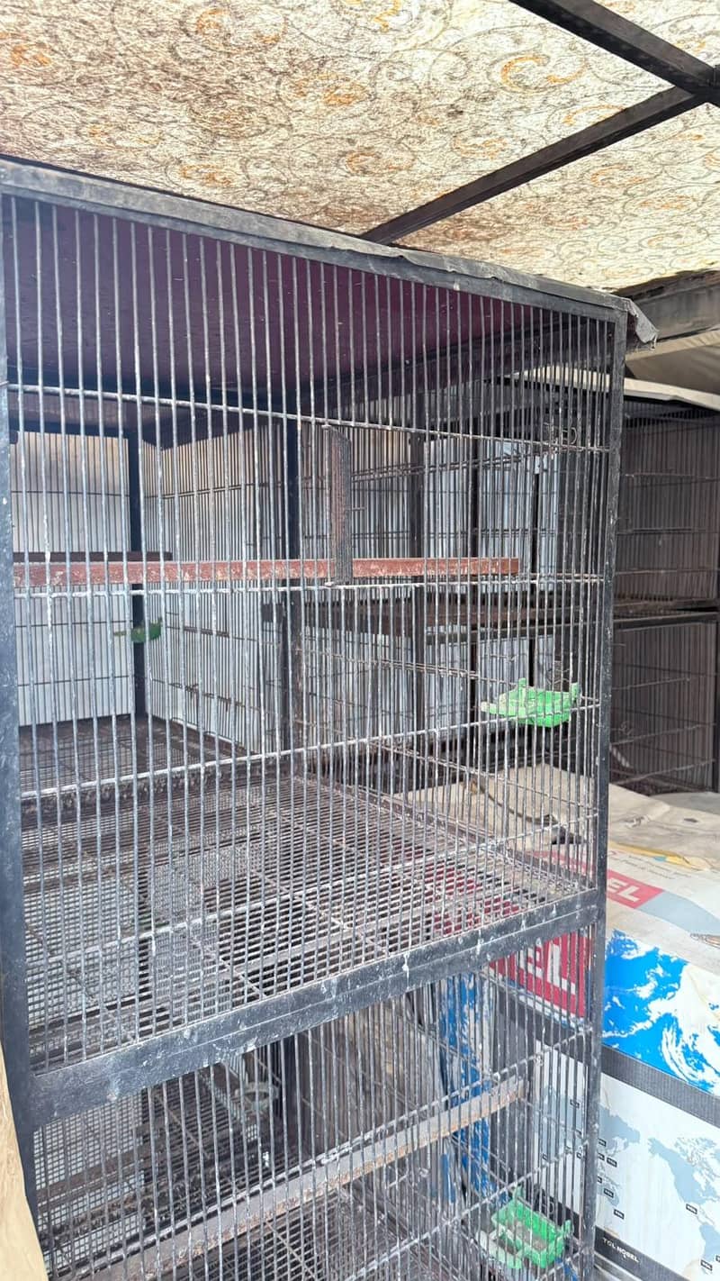 Cages 4