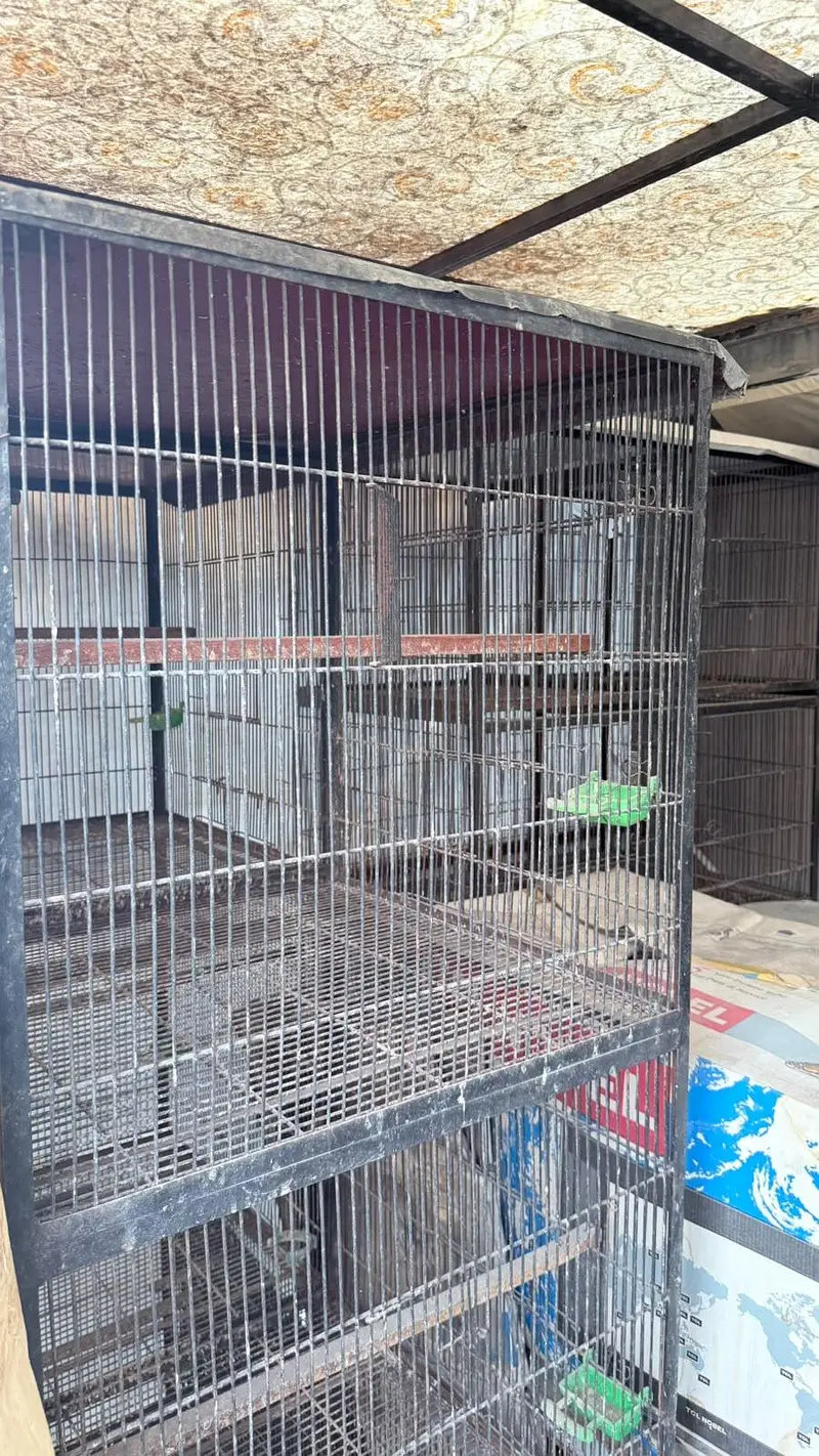 Cages — photo 5