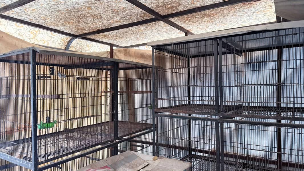Cages 5