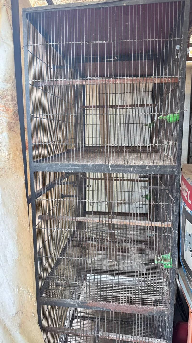 Cages 6