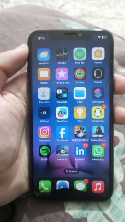 Apple iPhone X