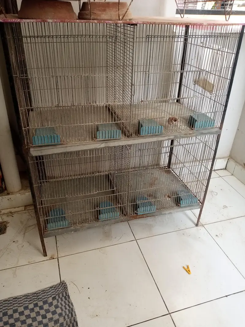 both used cage for sale