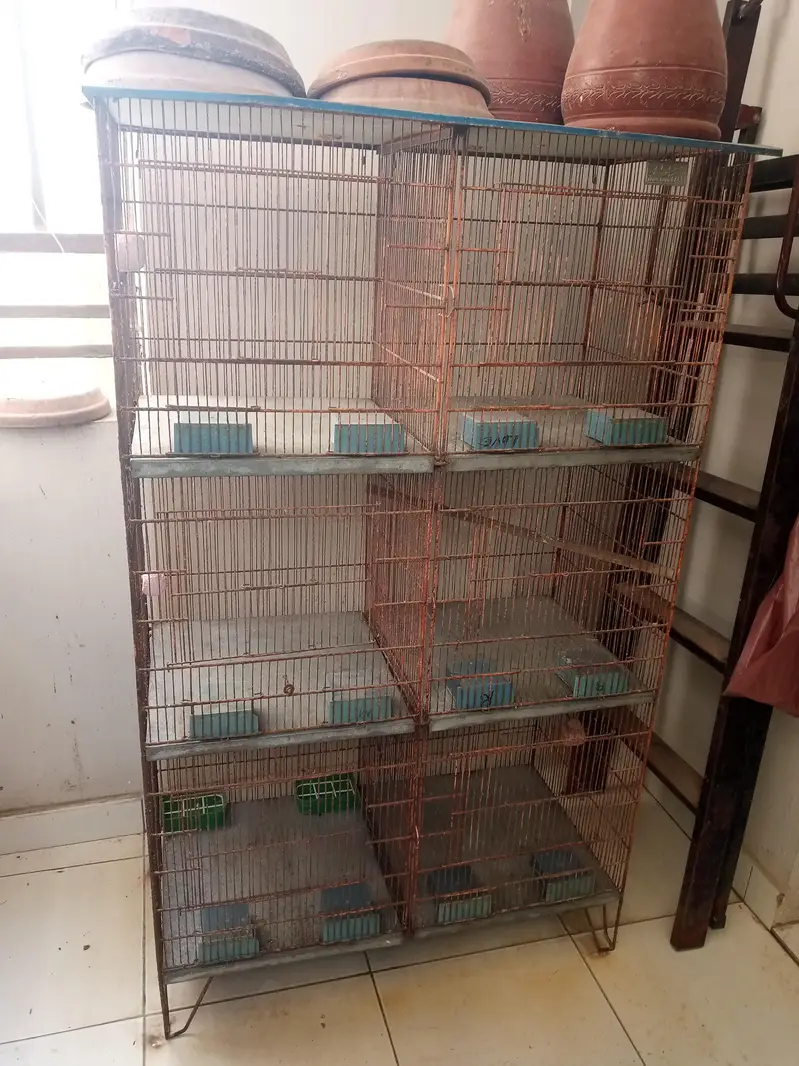 both used cage for sale — photo 2