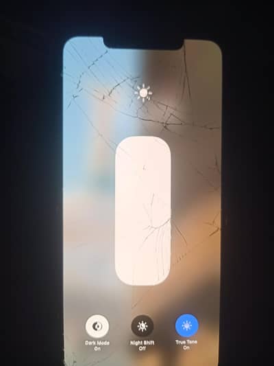Apple iPhone XS Max