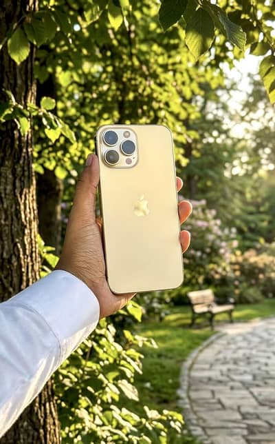 iPhone 13Pro Max Waterpack Price Fix