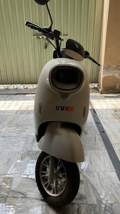 Evee Nisa (2024)