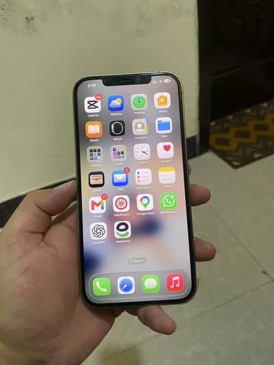 Apple iPhone 12 Pro Max