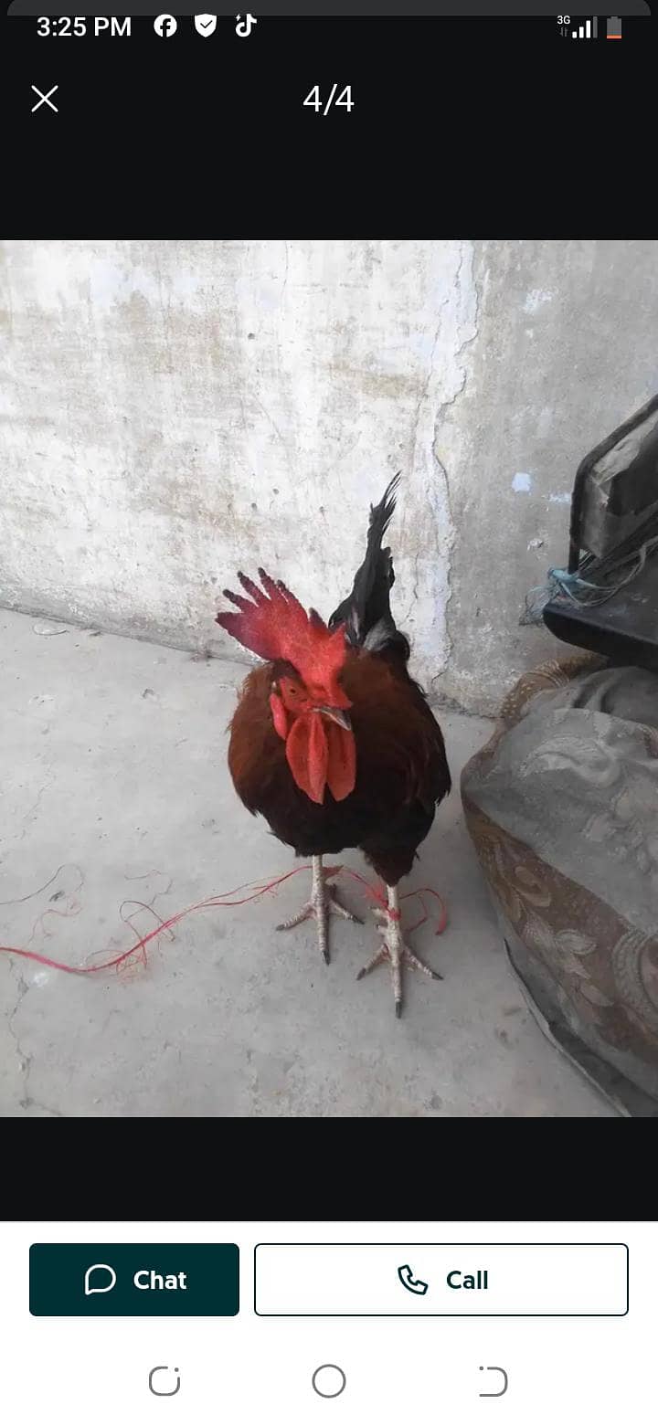 03319371258 0