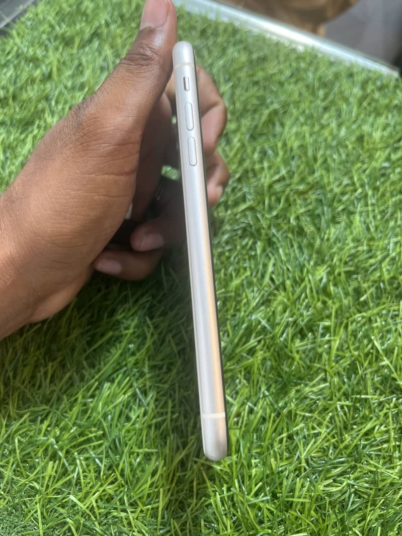 Apple iPhone 11 0