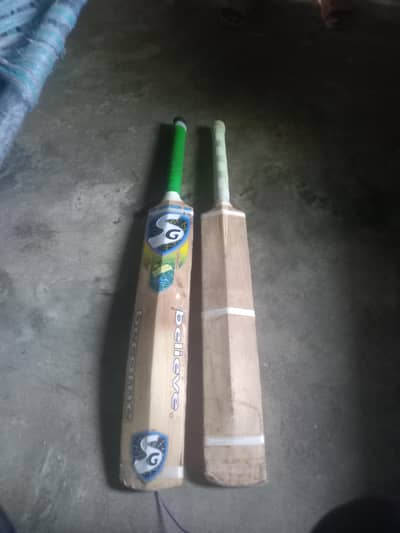 hard ball bat
