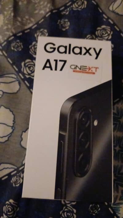 Samsung Mobile C100