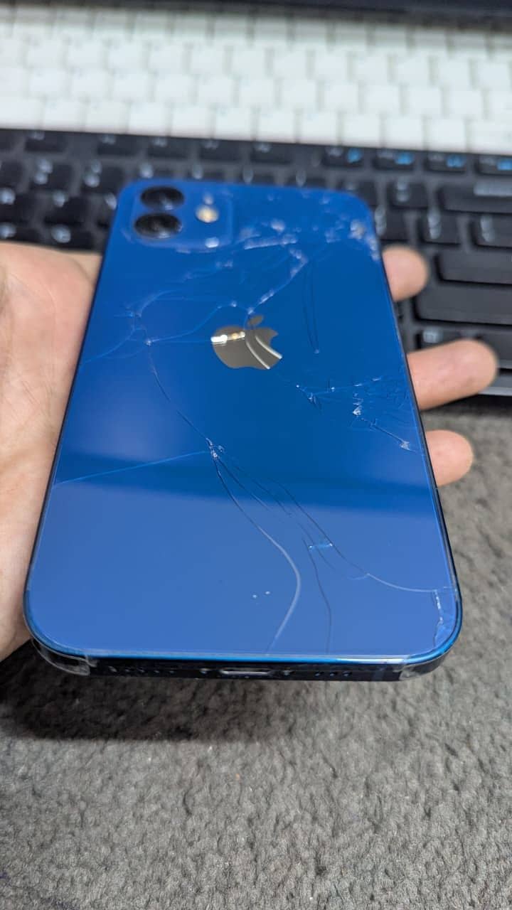 Apple iPhone 12 1