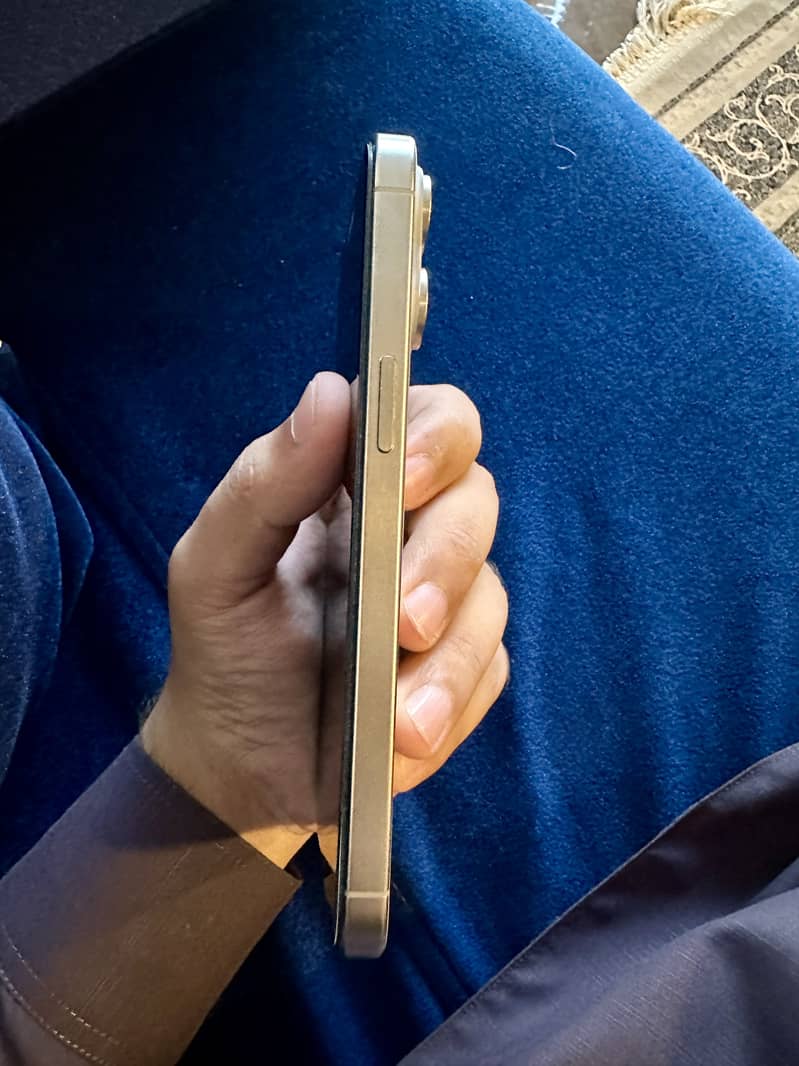 Apple iPhone 15 Pro Max 3