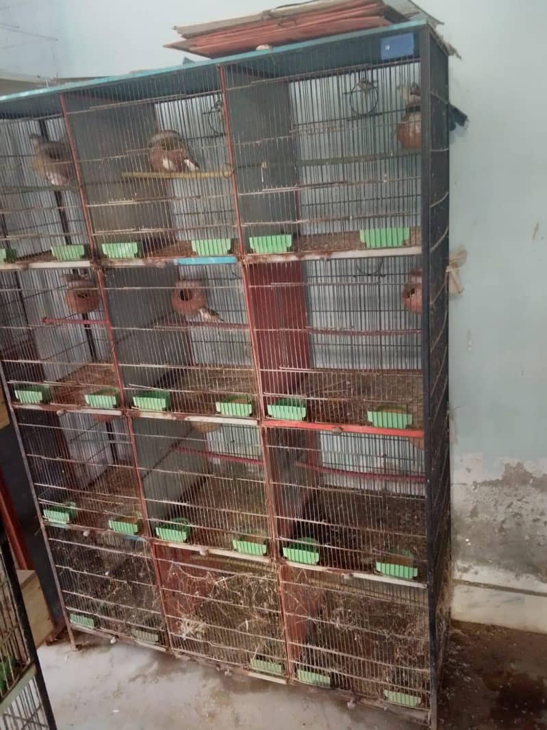 12 portion cage 1