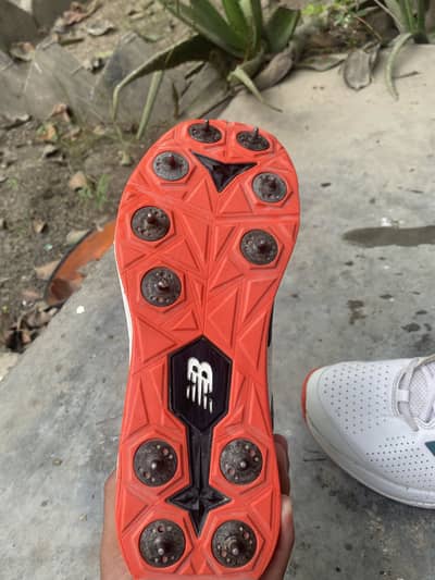 NB REV LITE