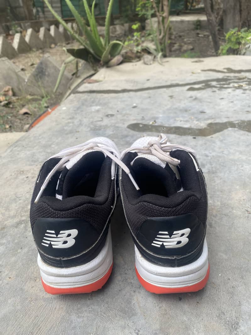 NB REV LITE 1