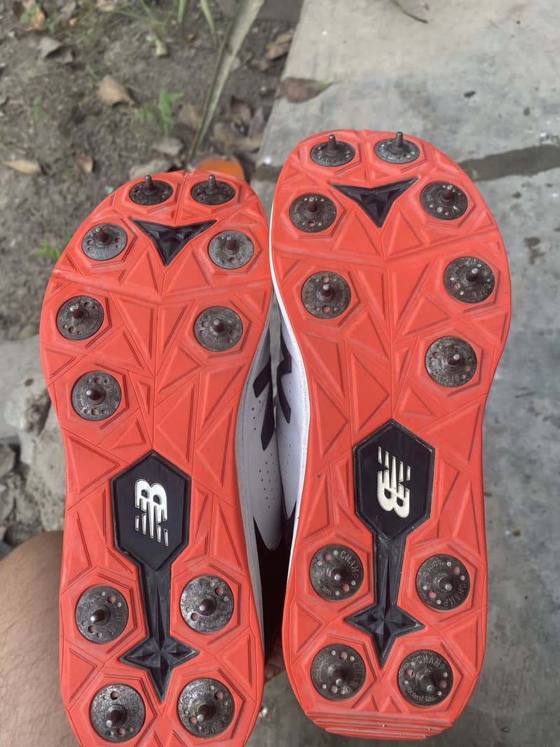NB REV LITE 2