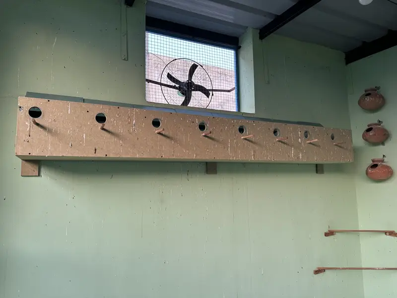 16 Big nesting boxes 8x2 for sale — photo 2