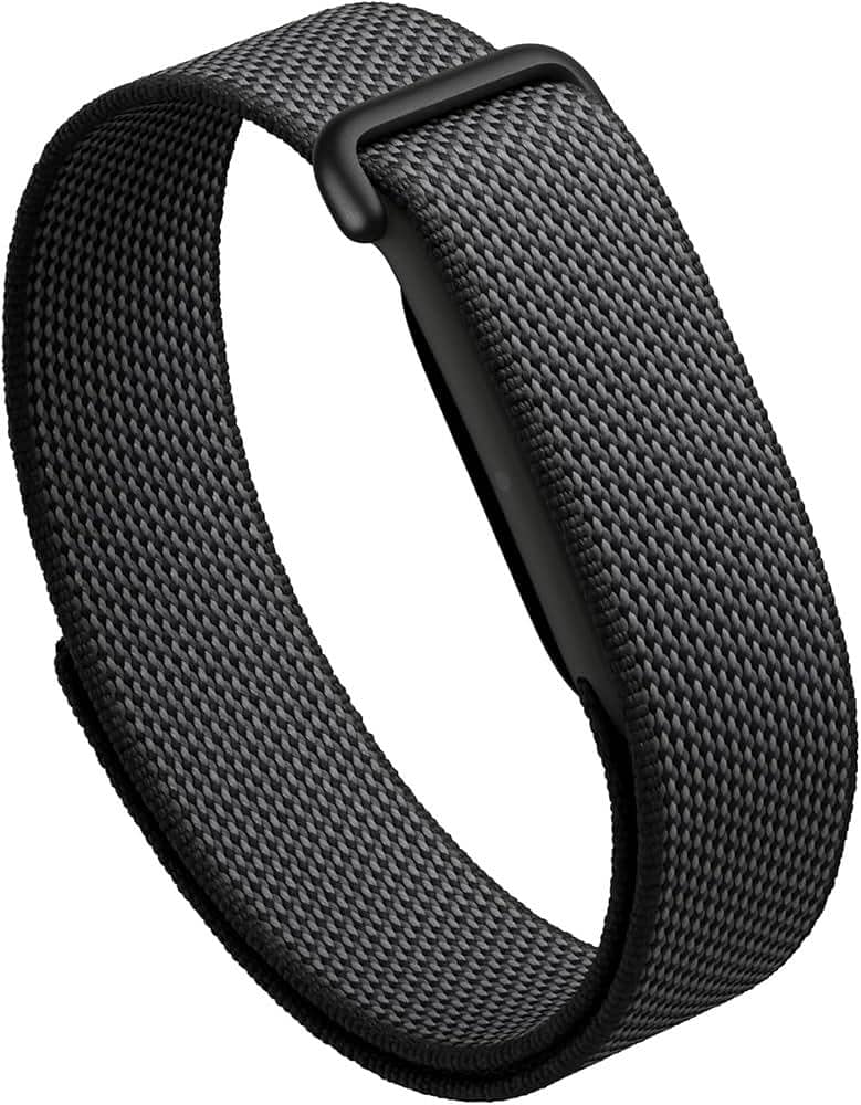 Google Fitbit Air 0