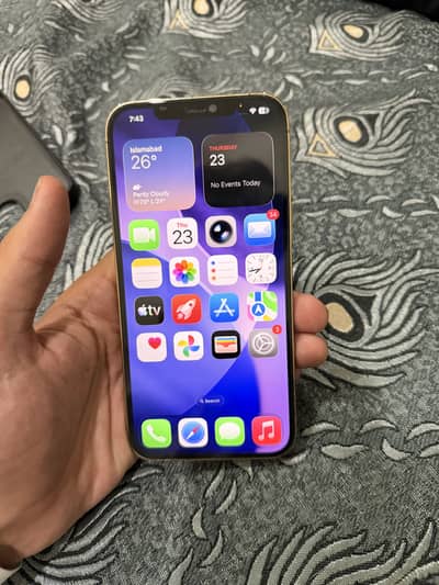 Apple iPhone 12 Pro Max