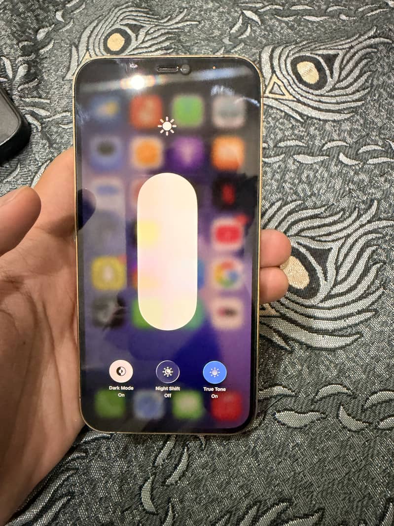 Apple iPhone 12 Pro Max 4