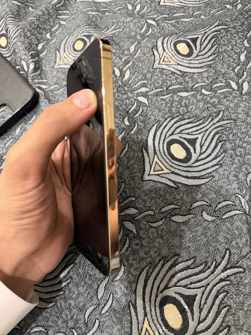 Apple iPhone 12 Pro Max 6