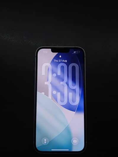 Apple iPhone 13