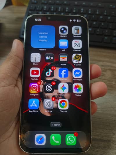 Apple iPhone 13 Pro Max