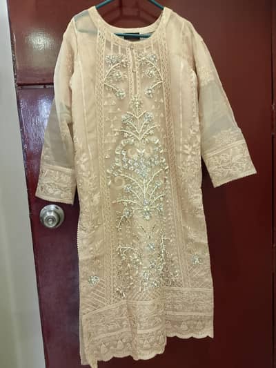 organza skin colour dress