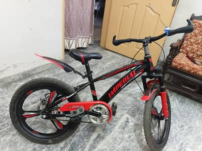 Bicycle Imperial completely new