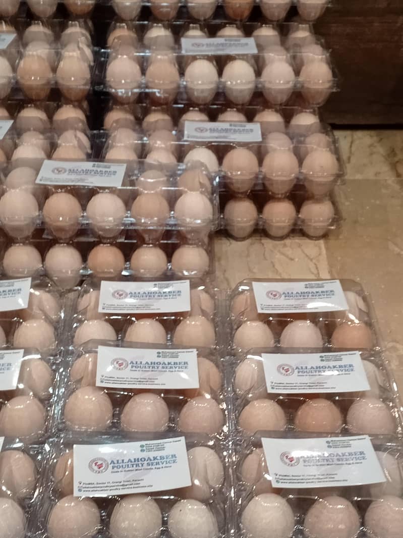 Desi Eggs 0