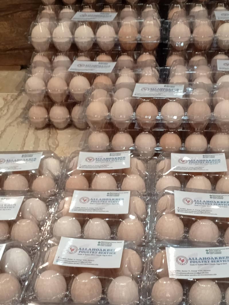 Desi Eggs 1