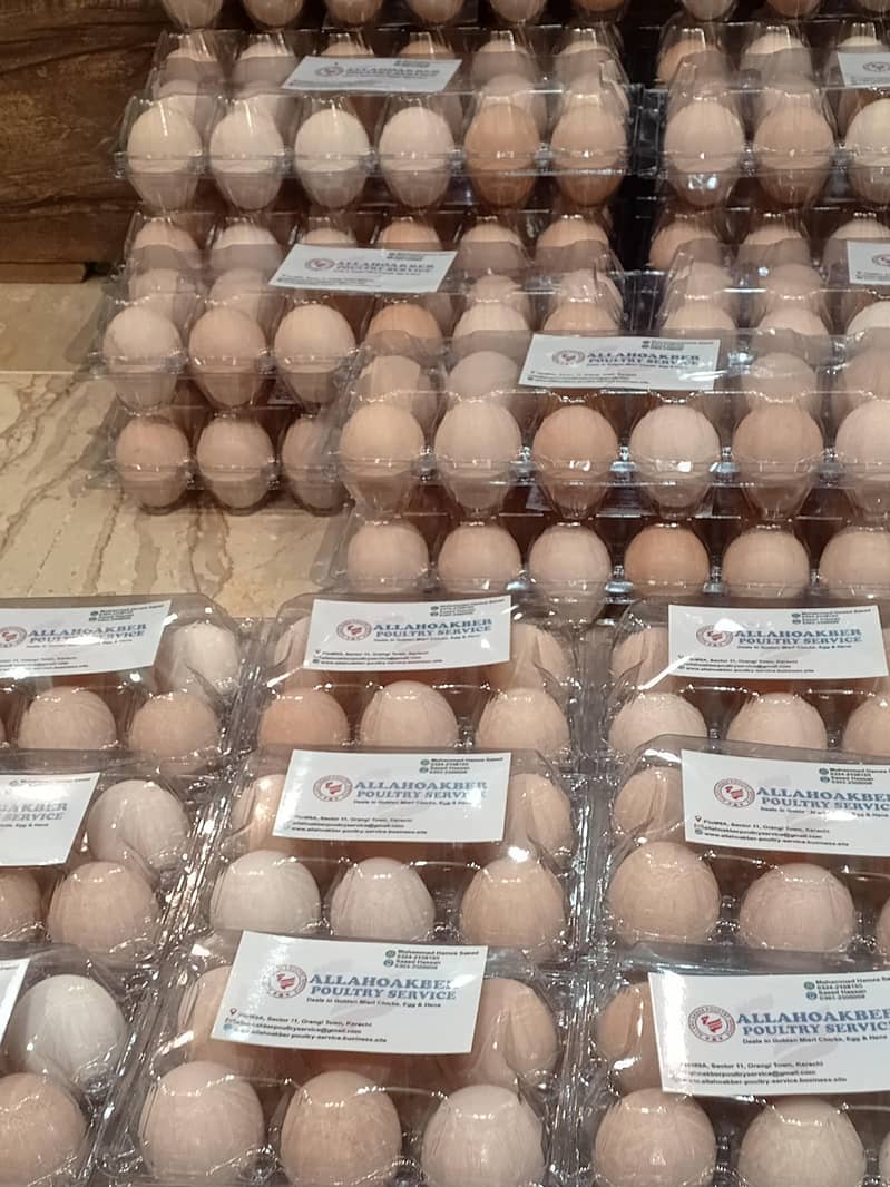 Desi Eggs 2