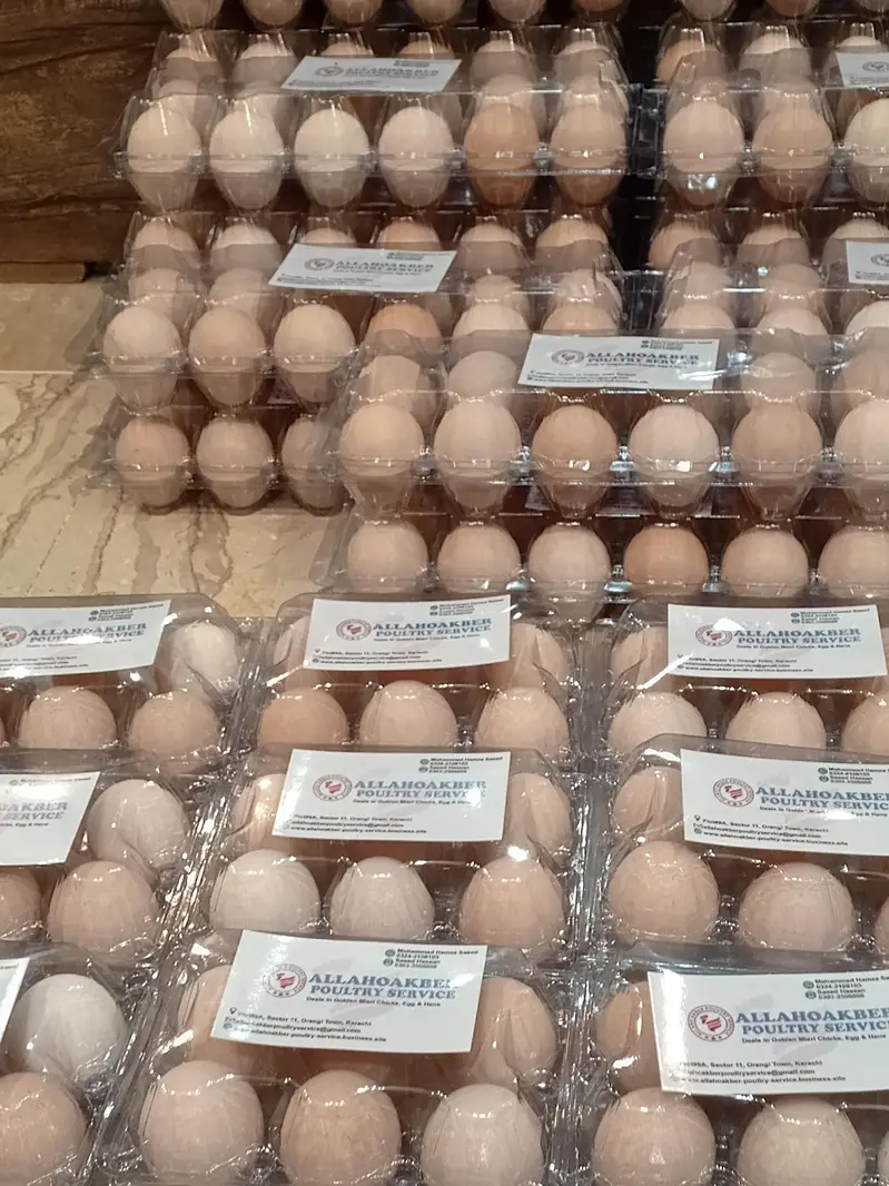 Desi Eggs — photo 3