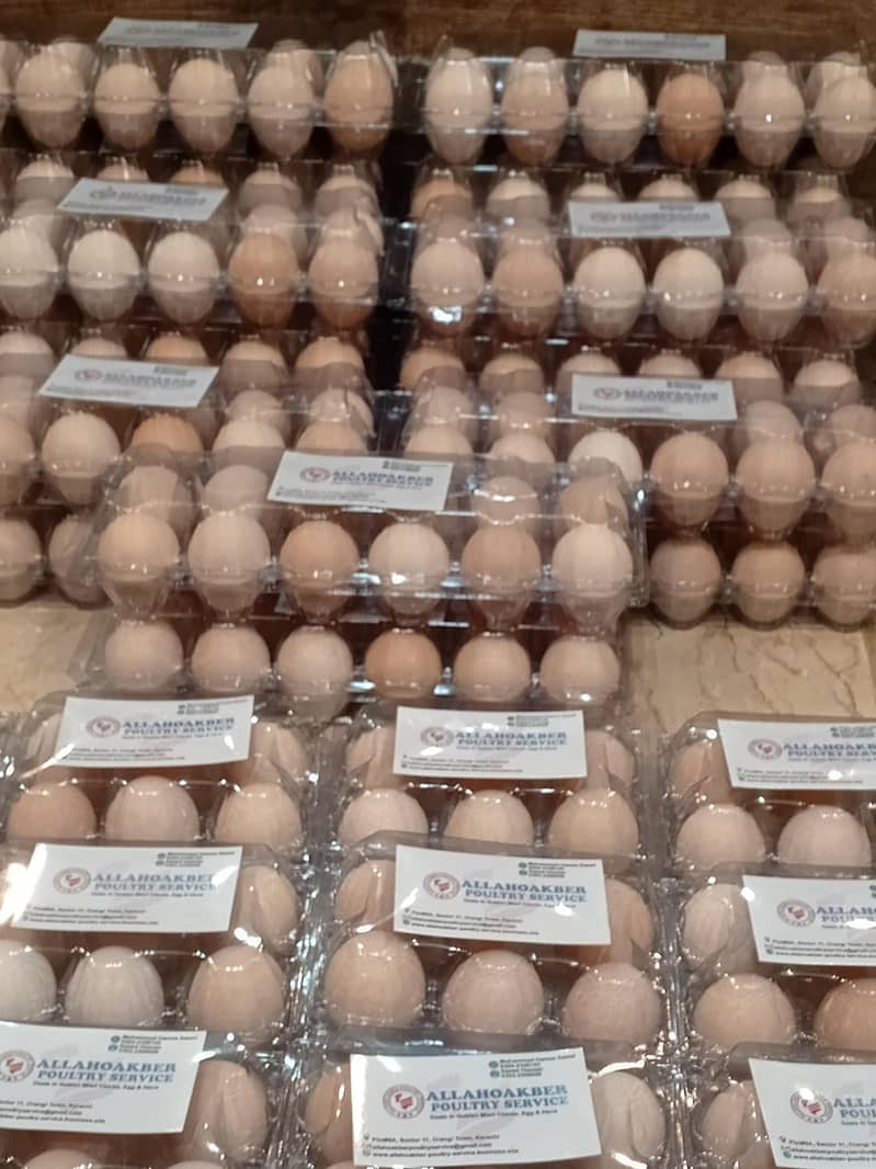 Desi Eggs 3