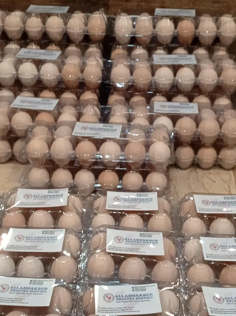 Desi Eggs — photo 4
