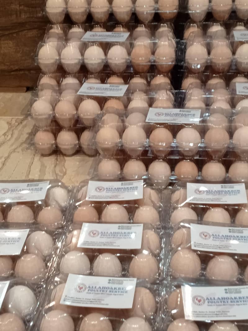Desi Eggs 4