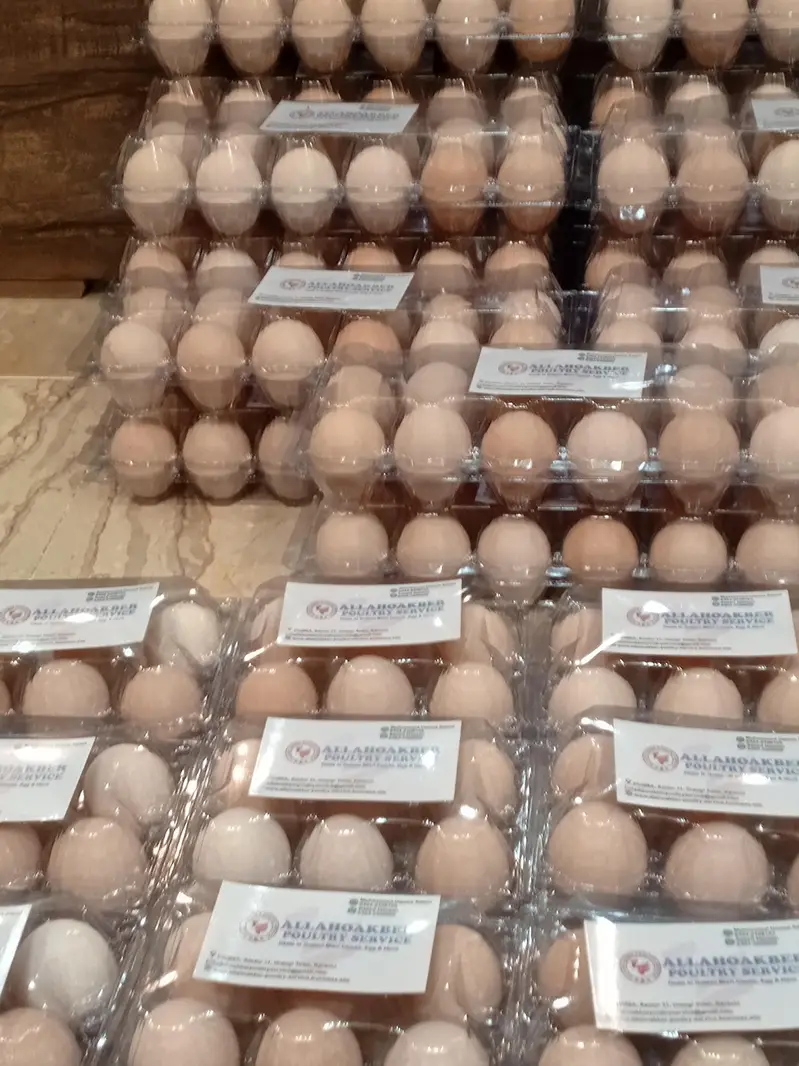 Desi Eggs — photo 5