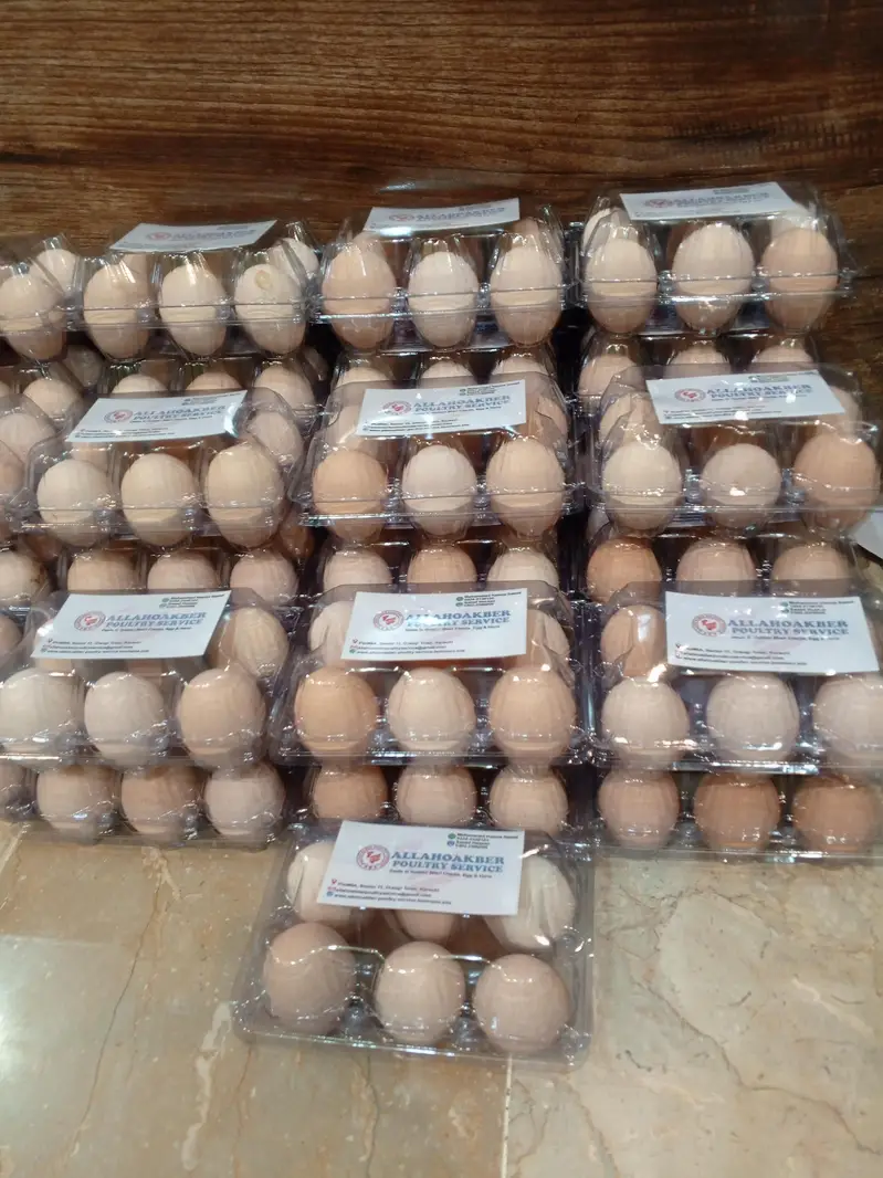 Desi Eggs — photo 6
