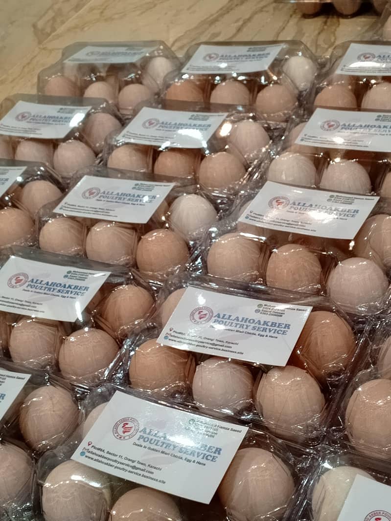 Desi Eggs 6