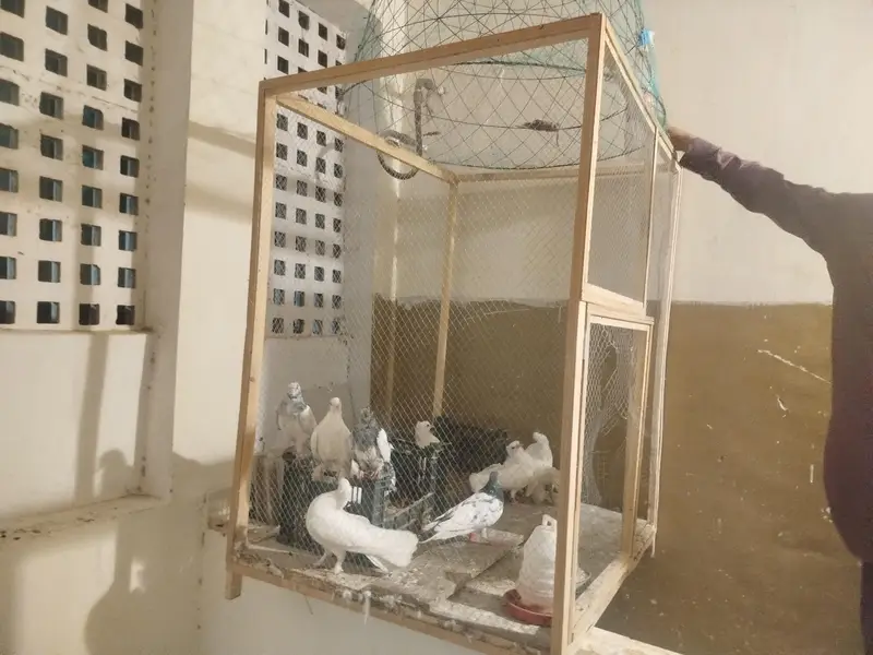 cage for sale — photo 2
