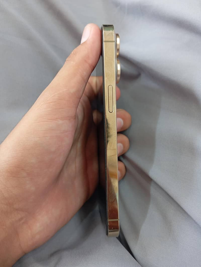 Apple iPhone 13 Pro 1