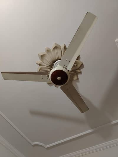 Fan for sale