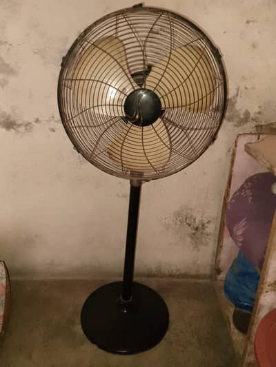 fan new ha brand