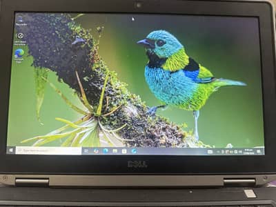 Dell latitude e6330