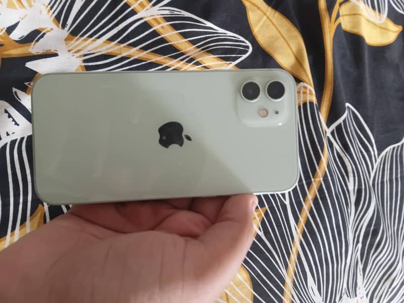 Apple iPhone 12 mini 1