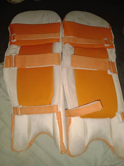 Cricket knee kit for sale with batting gloves