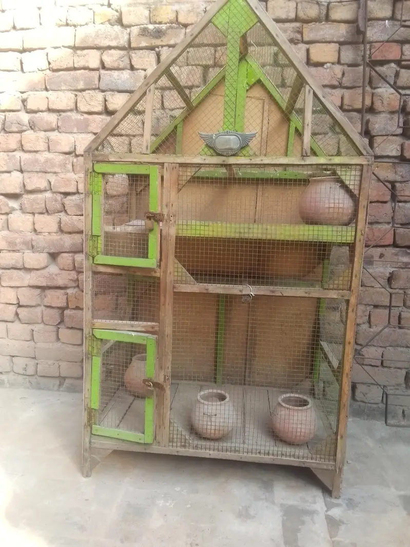 khoti style cage