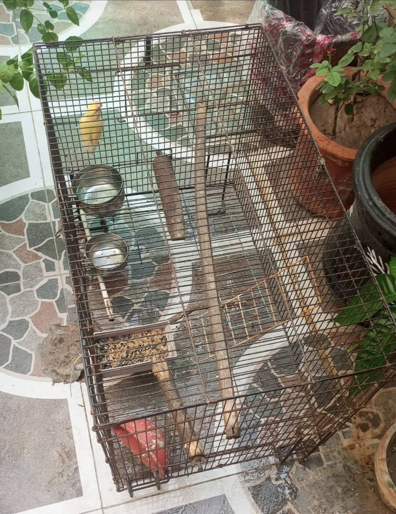 Large cage 0