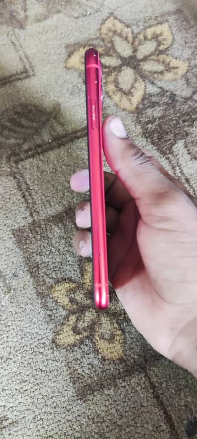Apple iPhone 11. water pack